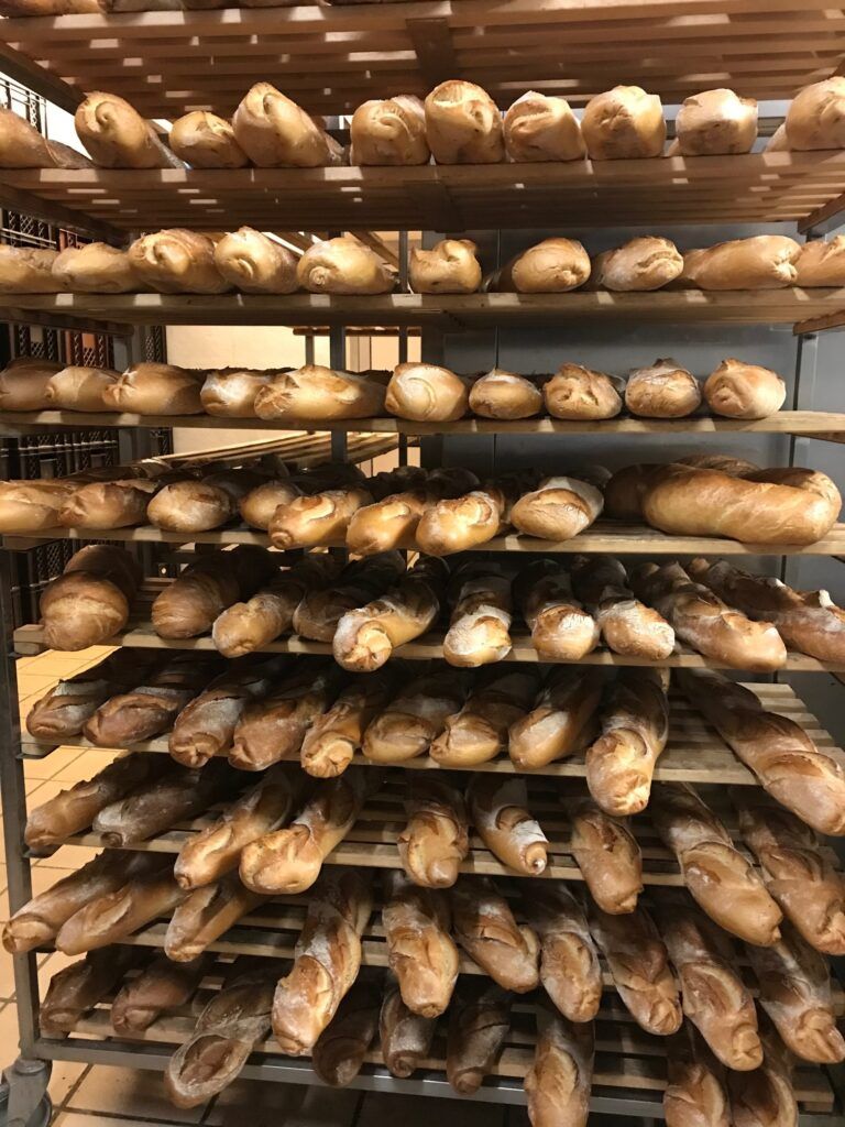 IMG_1255 Robin Halbig_min