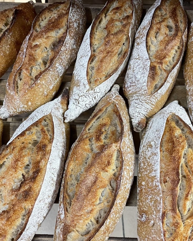 IMG_6129 Robin Halbig_min